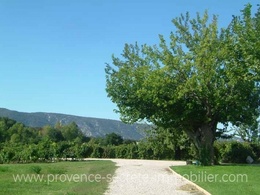  propriété viticole à vendre en Provence
