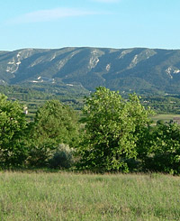 Immobilier en Provence