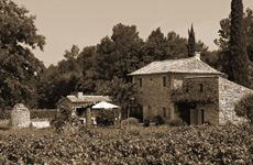 Immobilier en Provence