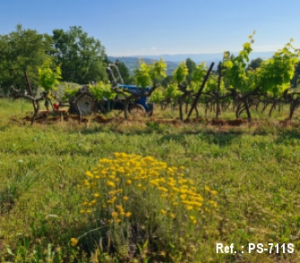  domaine viticole à vendre Provence