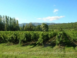  propriété viticole à vendre en Provence