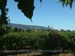  vignoble en vente Provence