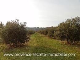  terrain à vendre Provence