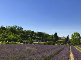  location mas Provence
