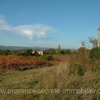 A vendre mas à restaurer du Luberon au milieu des vignes et avec vue