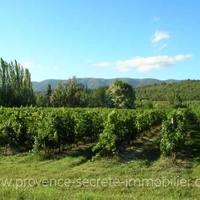 Vignoble du Luberon à vendre en Provence avec joli mas Ménerbes