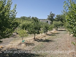  terrain à vendre en Provence
